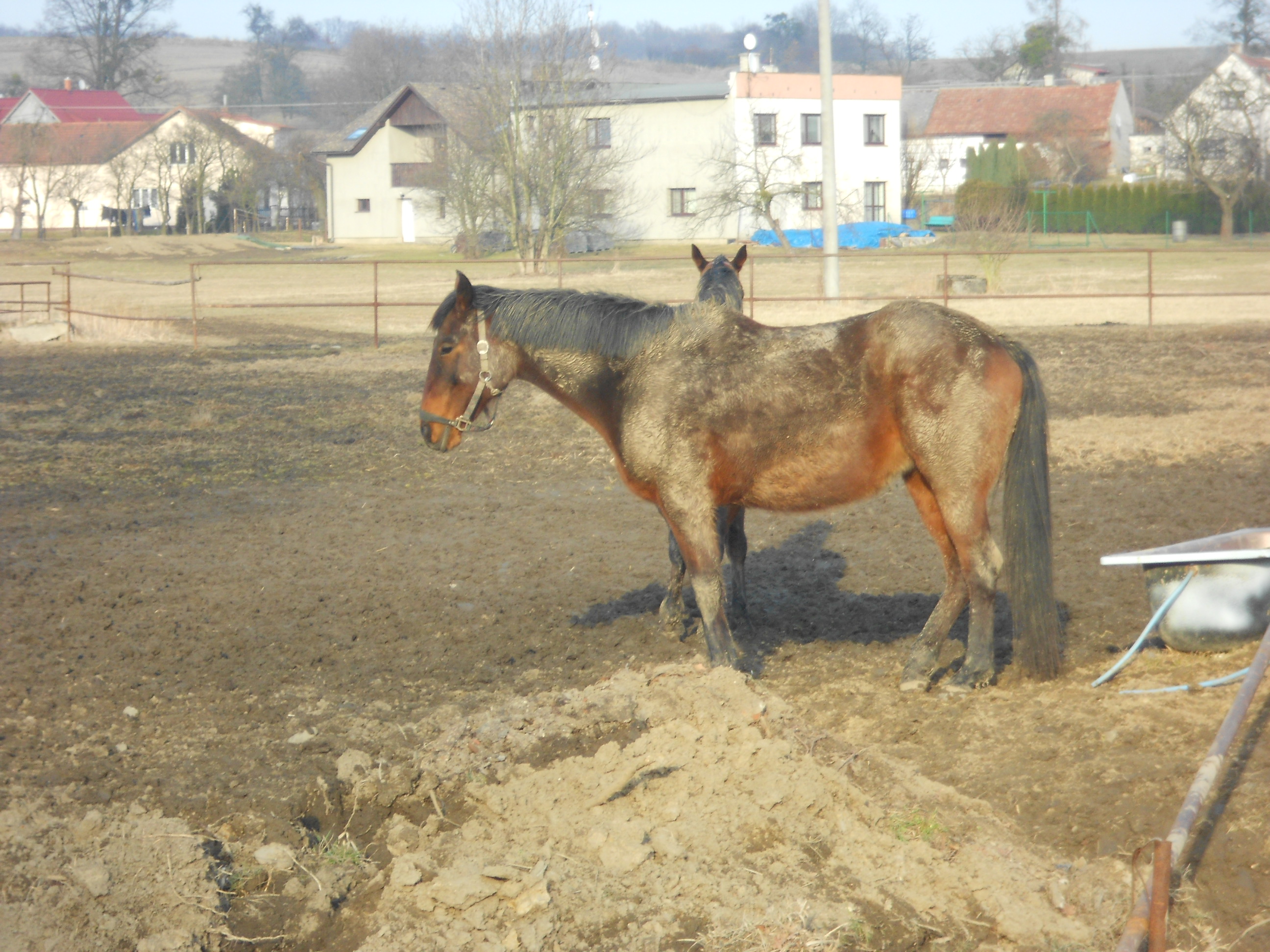 DSCN4158